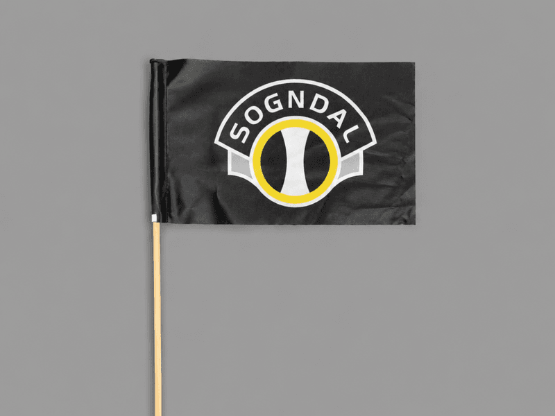 Lite supportarflagg 20x30cm